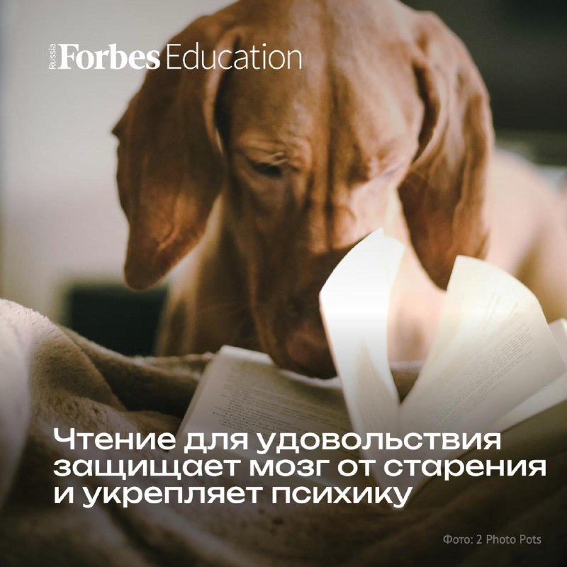 Фото поста канала  Forbes Russia