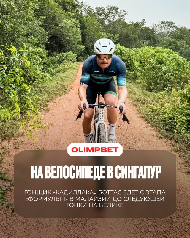 Фото поста канала OLIMPBET