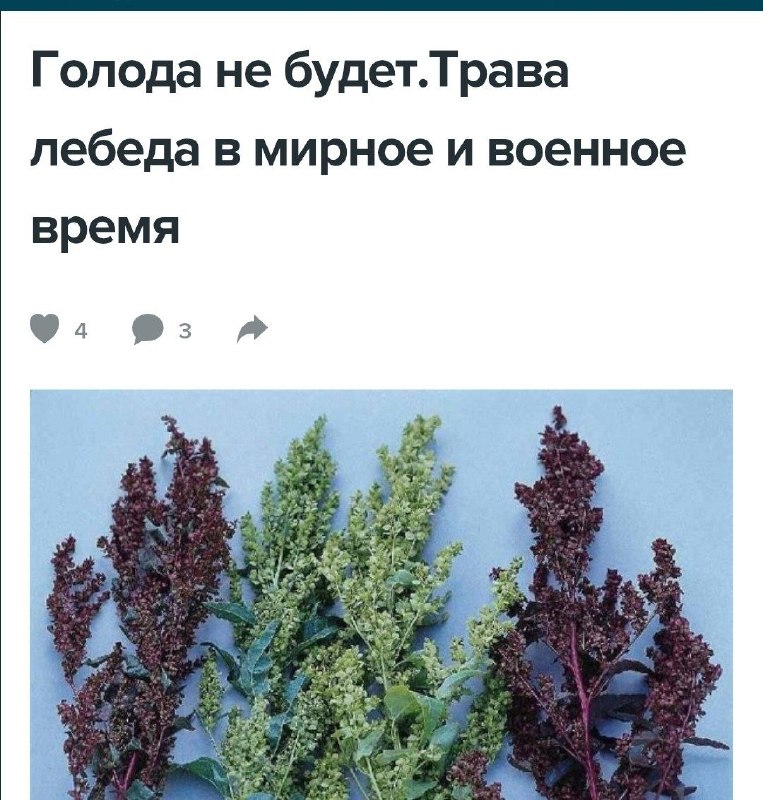 Фото поста канала  Мониторинг 29 Архангельская область