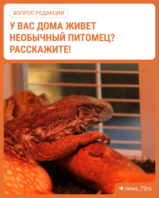 Фото поста канала  Новости Тюмени | 72.RU