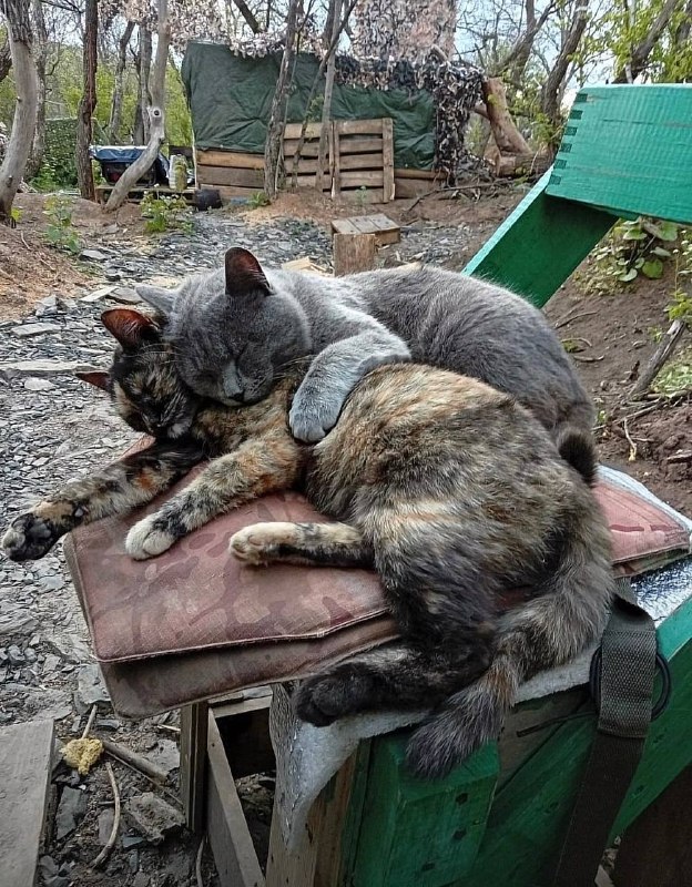 Фото поста канала  8 Лет... Дорога Домой