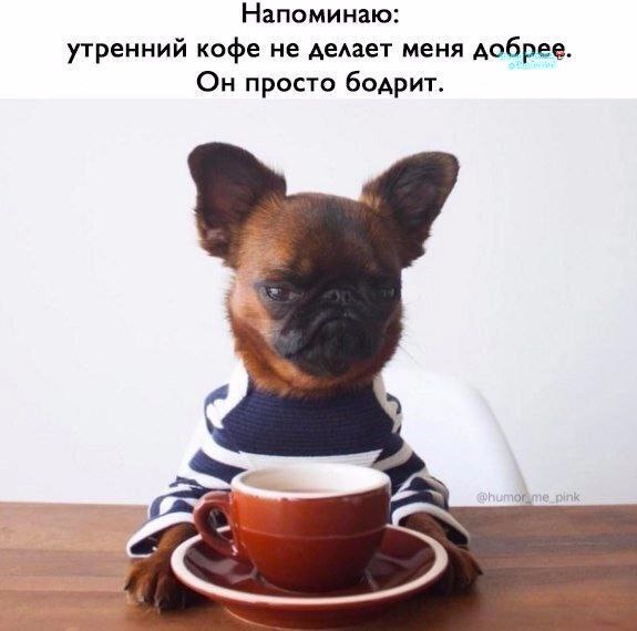 Фото поста канала  Ходють тут всякие!🍄