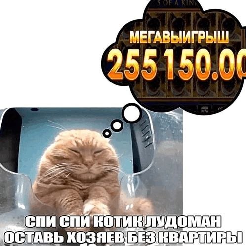 Фото поста канала  РИА КАТЮША