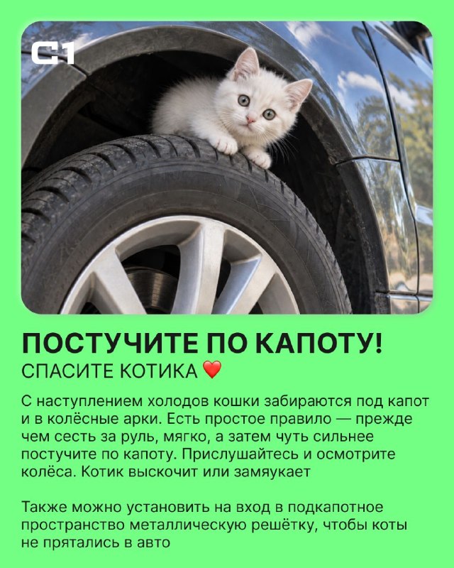 Фото поста канала  Сыктывкар №1