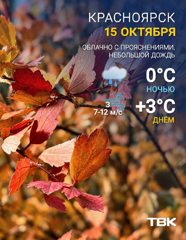 Фото поста канала  ТВК