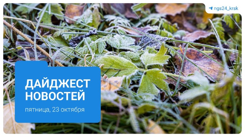 Фото поста канала  Мониторинг 24 Красноярский край