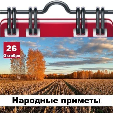 Фото поста канала  Жесть Шебекино