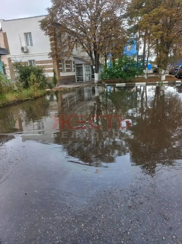 Фото поста канала  Жесть Белгород