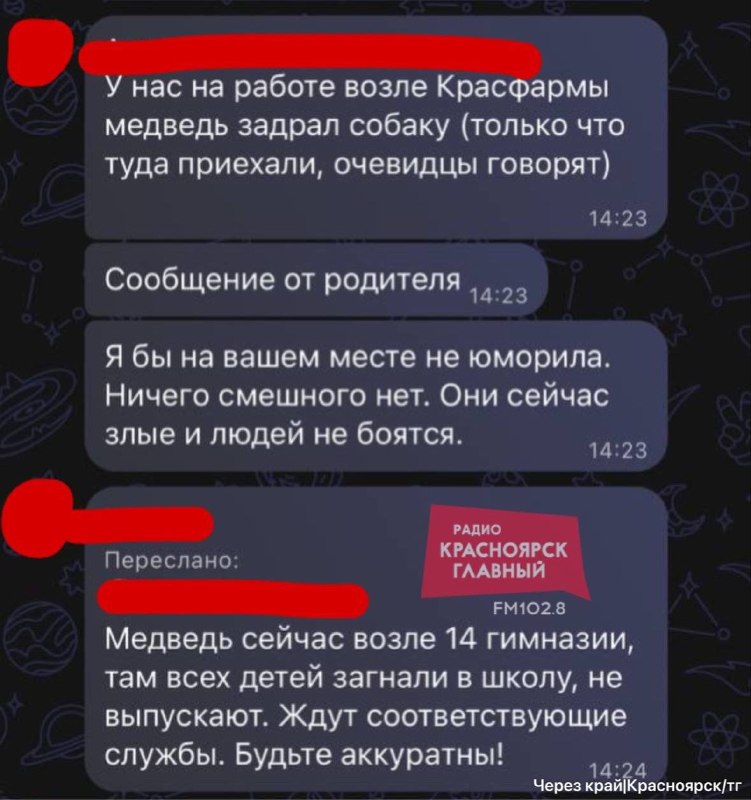 Фото поста канала Новости Красноярска и Края
