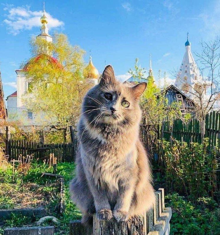 Фото поста канала  ПОЛУАВТОБИЯ