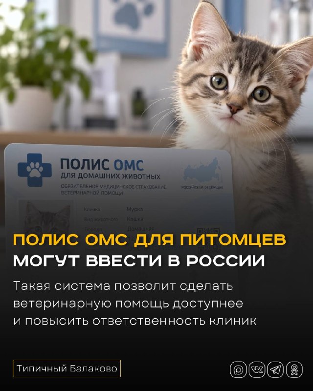 Фото поста канала  Типичный Балаково (18+)