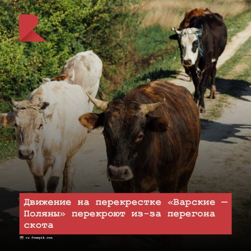 Фото поста канала RZN LIFE | ЖИЗНЬ РЯЗАНИ | РЯЗАНЬ