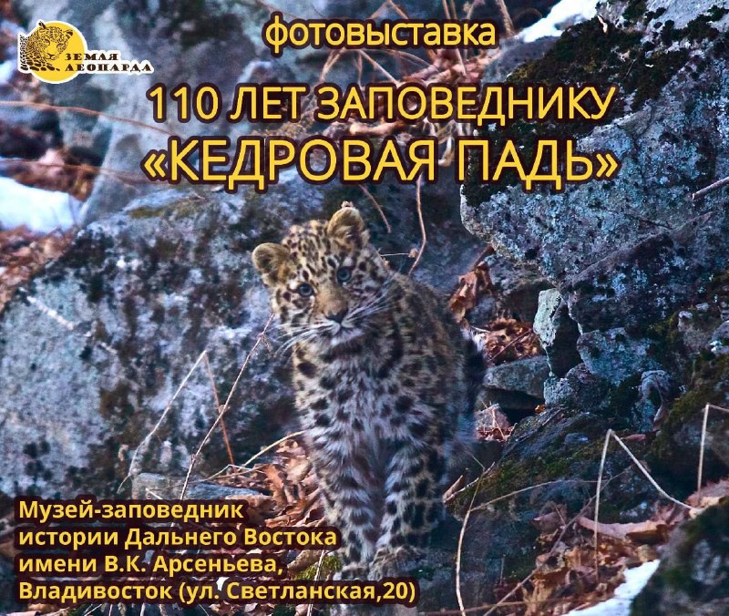 Фото поста канала  Хасанские вести
