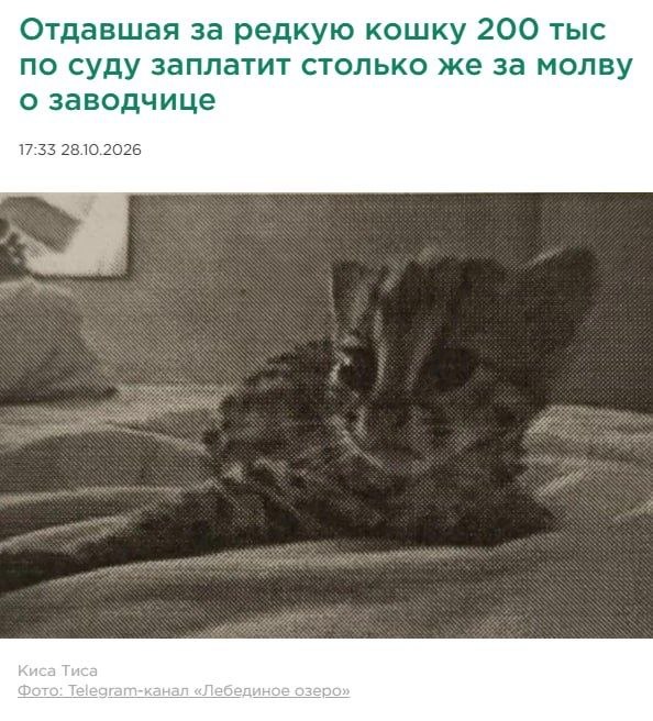 Фото поста канала  47news🔥