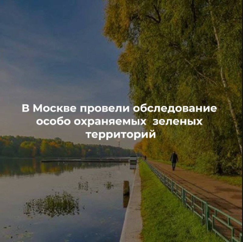 Фото поста канала  Марьино