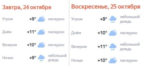 Фото поста канала  Первый Питерский