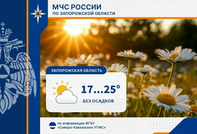 Фото поста канала  Главное в Пологах