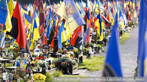 Фото поста канала  V Z - ВЗГЛЯД.РУ