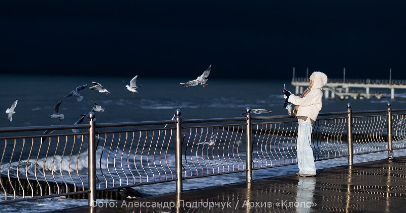 Фото поста канала  Клопс