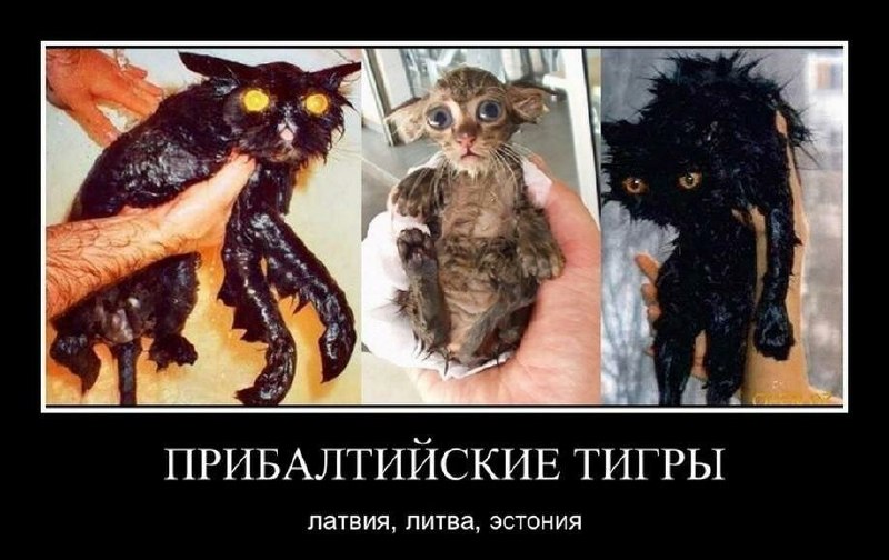 Фото поста канала  Русь Державная. Мы Zа Объединение: России,Украины,Белоруссии