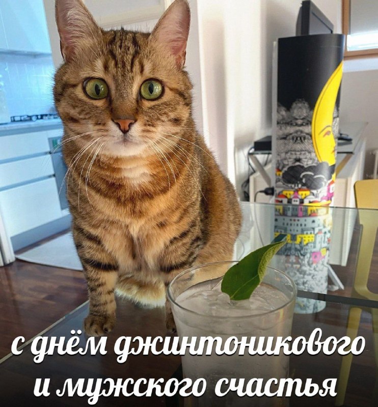Фото поста канала  ПУТИН в Telegram