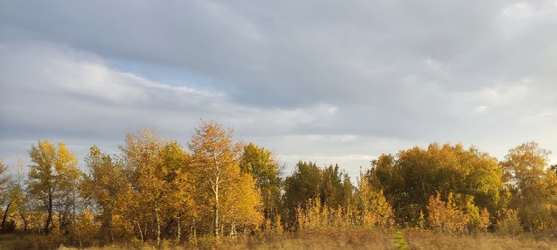 Фото поста канала  Оренбург Медиа