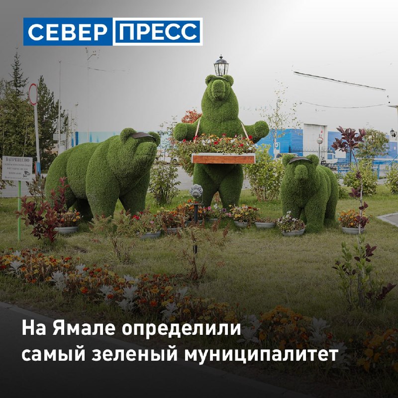 Фото поста канала  Мониторинг 89 Ямало-Ненецкий АО