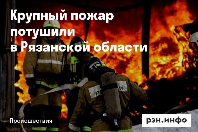 Фото поста канала  Новости Рязани • РЗН.инфо
