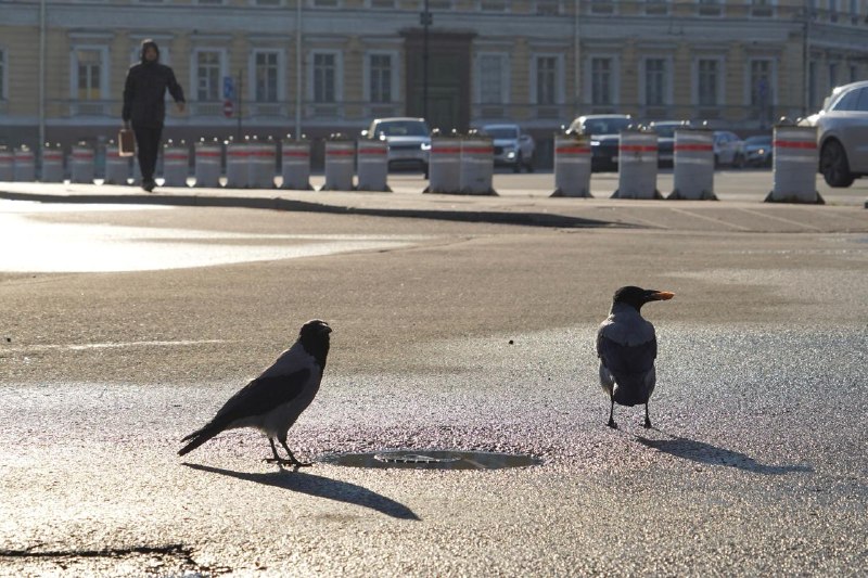Фото поста канала  Бумага: всё о Петербурге
