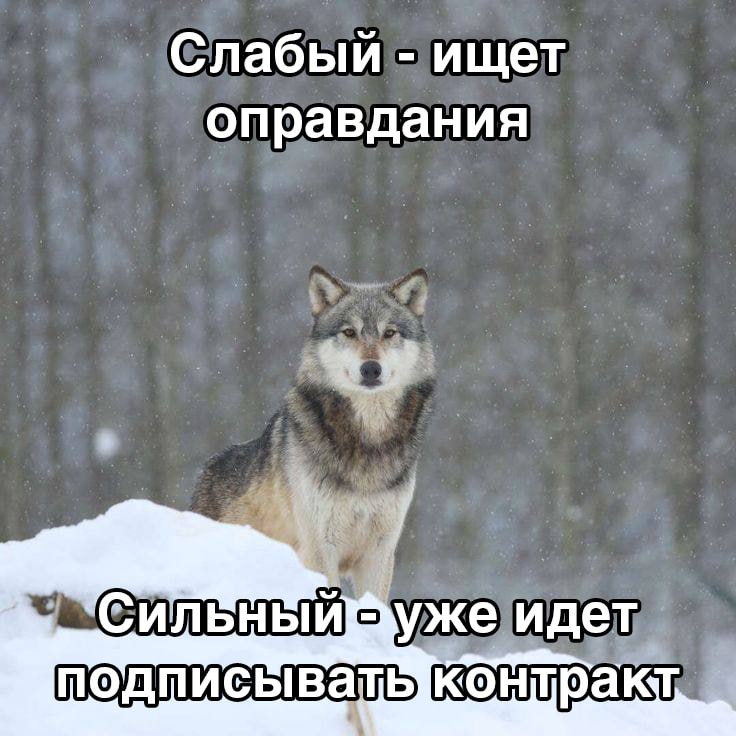 Фото поста канала  Ростов Главный новости