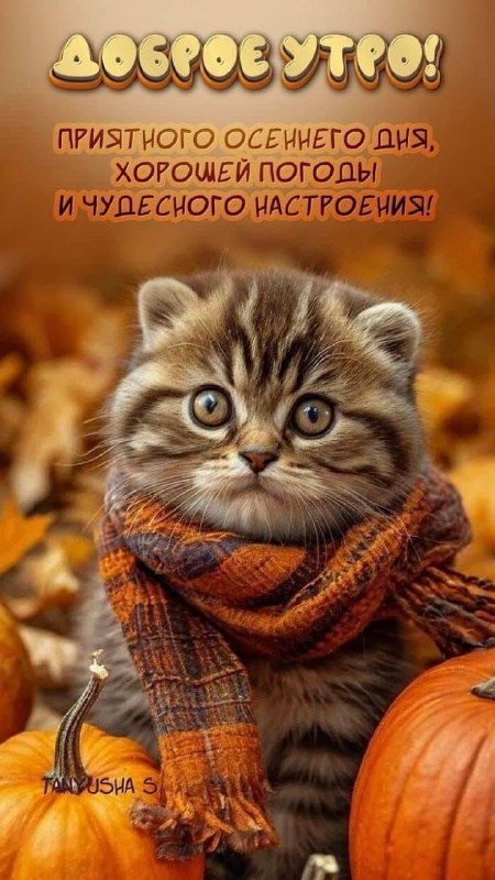 Фото поста канала Мамины открытки💝