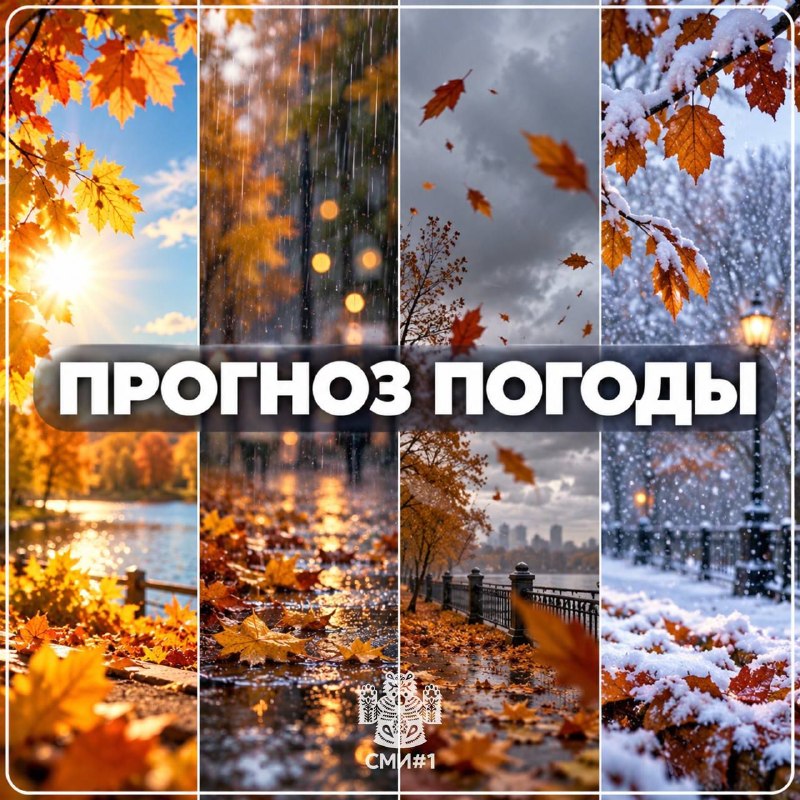 Фото поста канала Новости Оренбурга и Области