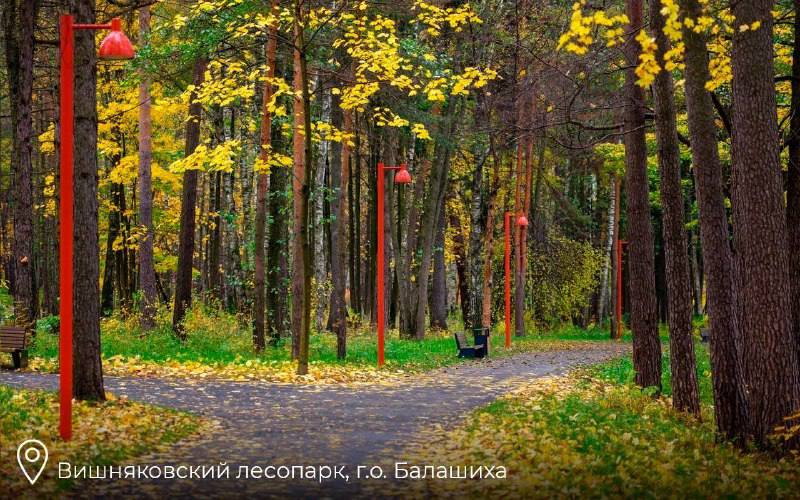 Фото поста канала  Балашухер