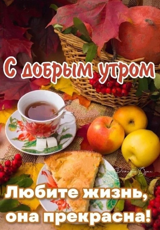 Фото поста канала  СВОи 🇷🇺