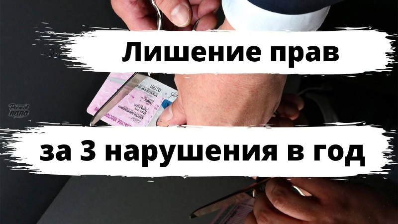 Фото поста канала  РОСТОВ ПАПА РОСТОВ-НА-ДОНУ
