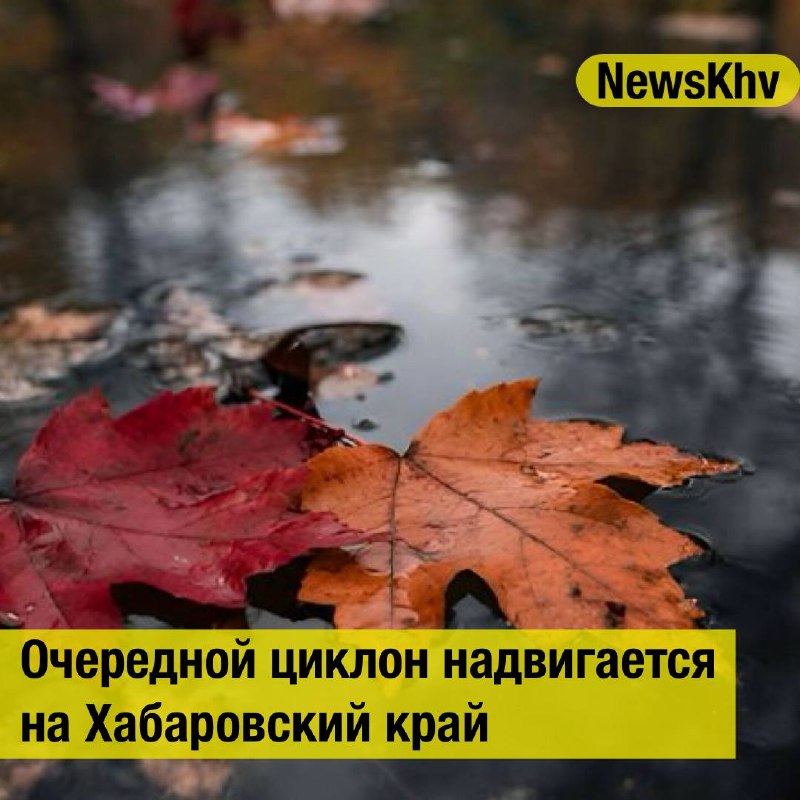 Фото поста канала  NewsKhv
