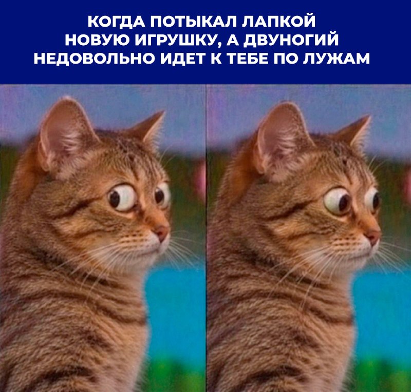 Фото поста канала НОВОСТИ 