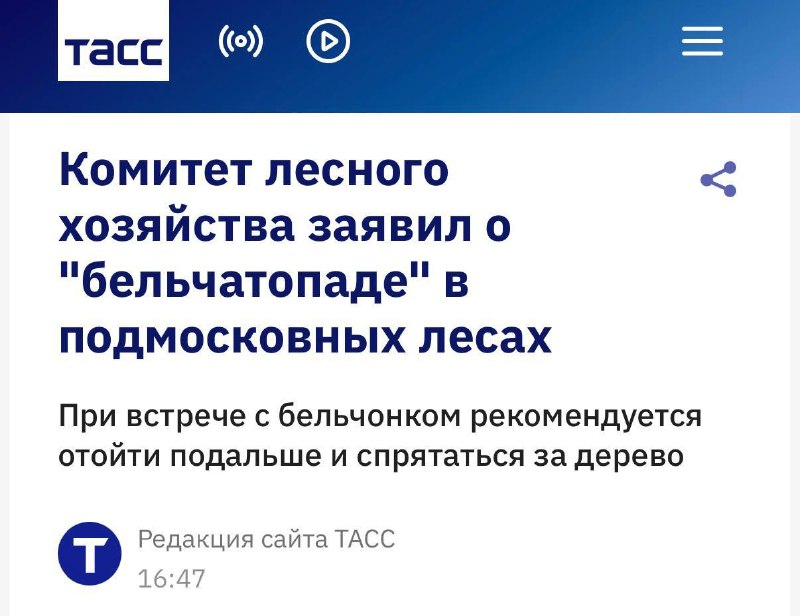 Фото поста канала Техночат