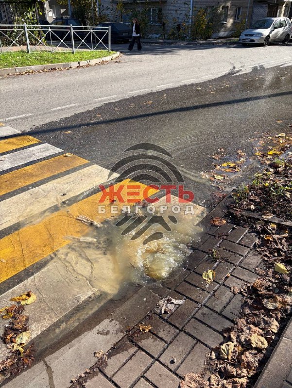 Фото поста канала  Жесть Белгород