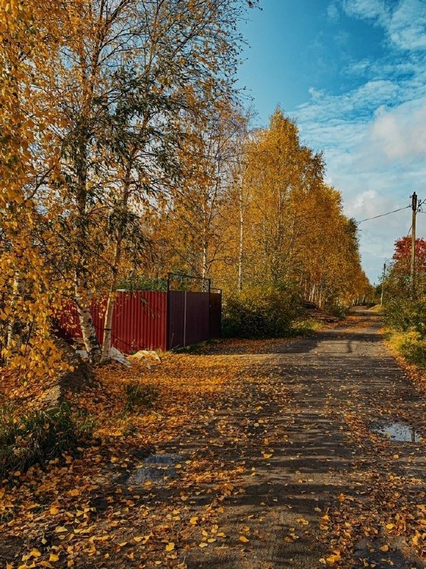 Фото поста канала  Типичный Воронеж