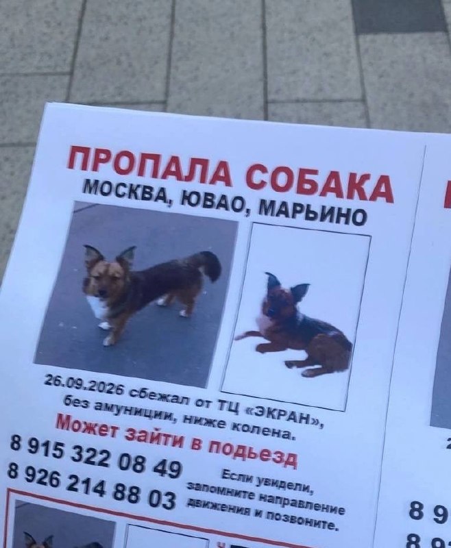 Фото поста канала  Марьино