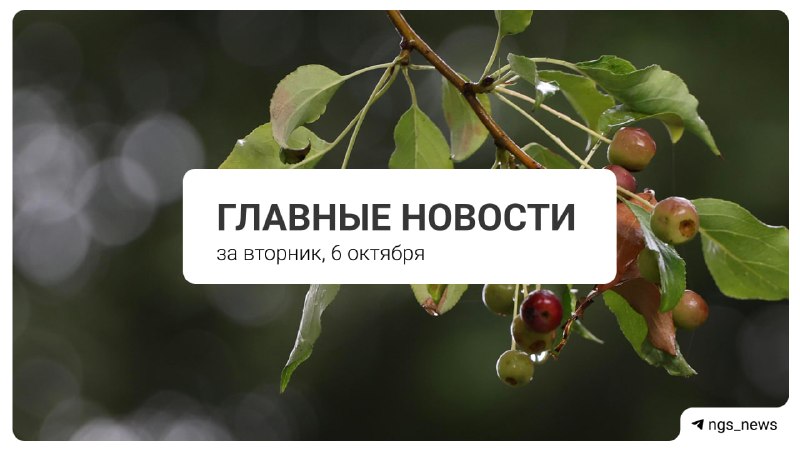 Фото поста канала НГС — новости Новосибирска