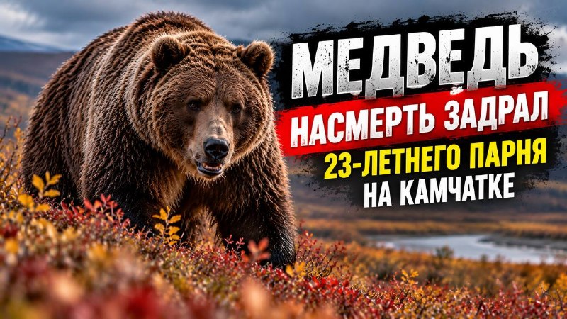 Фото поста канала  Камчатский Репортёр