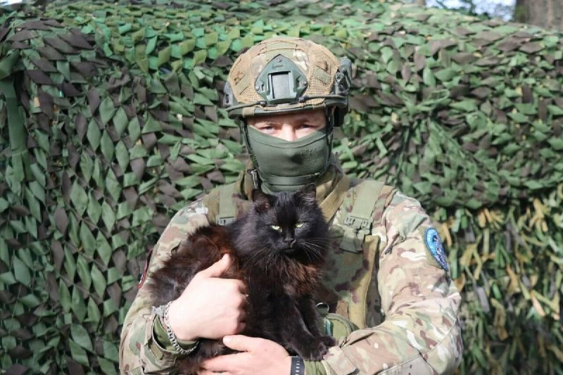Фото поста канала  Правда за нами