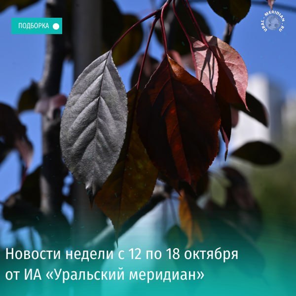 Фото поста канала  Мониторинг 66 Свердловская область