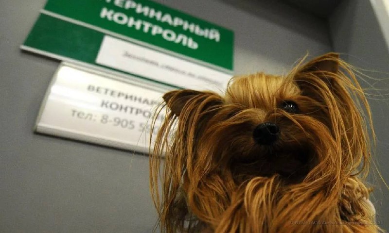 Фото поста канала  Zloy_ekb 18+ | Злой Екатеринбург