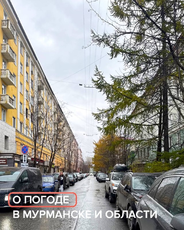 Фото поста канала  Мониторинг Арктика