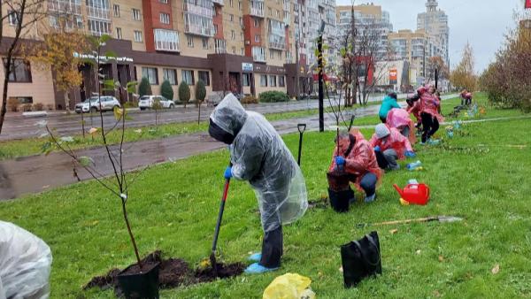 Фото поста канала  АрхДайджест