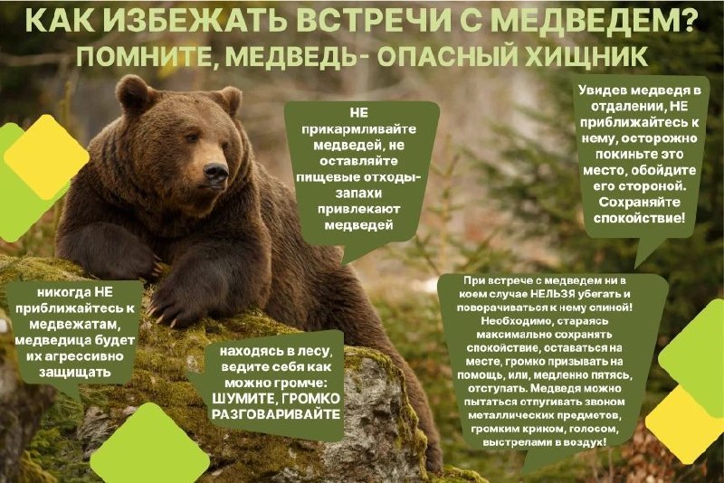 Фото поста канала  Октябрьский округ г. Иркутска