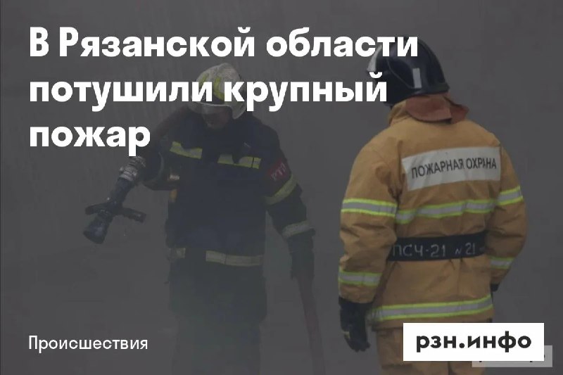 Фото поста канала  Новости Рязани • РЗН.инфо